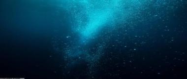 赛事报名系统与数据管理平台